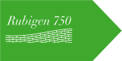 Grüner Wegweiser